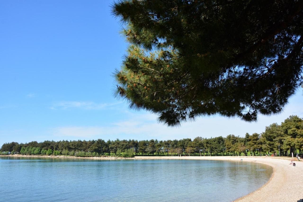 Villa Vienna Novigrad Istria 외부 사진